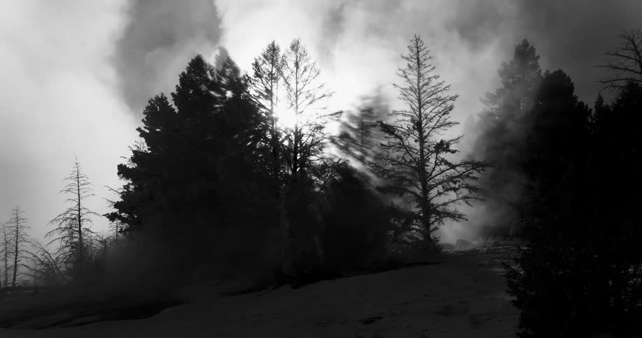 Smoke billows behind trees on a snowy slope