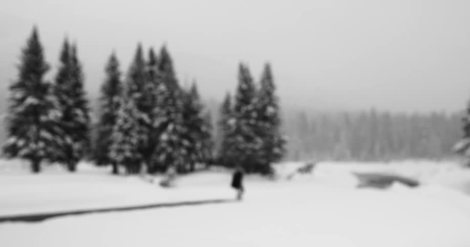 Black and white footage of person trekking through the snow in a snow storm