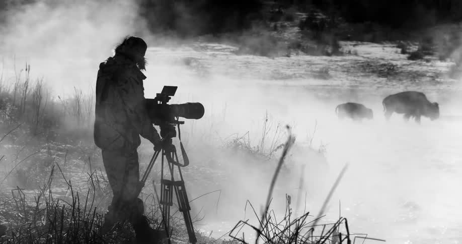 Photographer in winter gear takes pictures of buffalos or bisons near a mist covered river