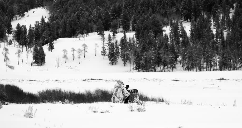 A person with a winter coat and a camera in the snow in the woods