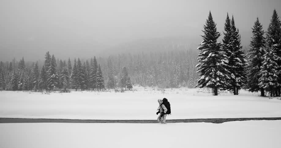 Person pushed through snow near conifers with mist obscuring mountain in background
