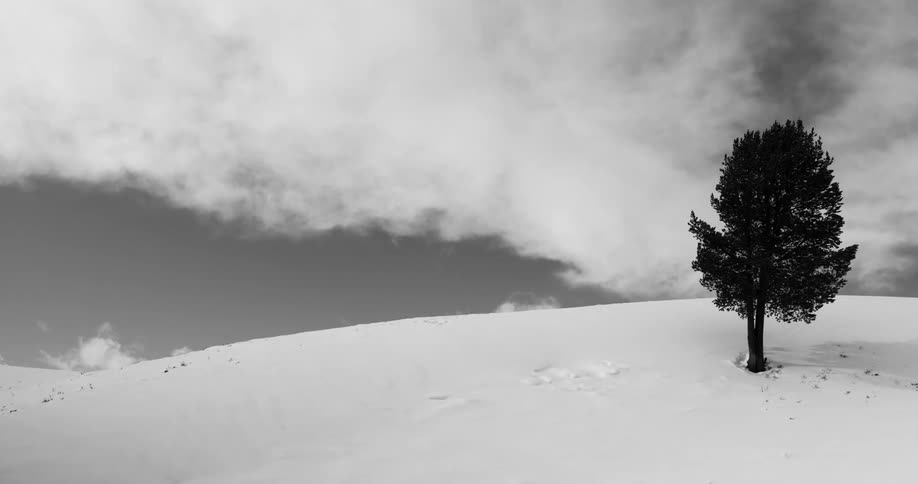 Clouds over a snow covered field with one tree in it