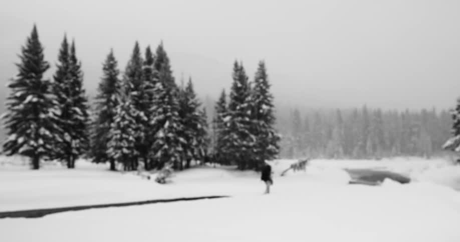 A person bundled up for winter trudges through snow covering a plain near a forest