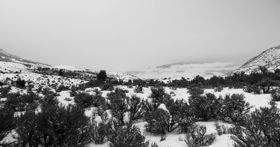 Snow covered plains near the hills with shrubs and bushes in the winter