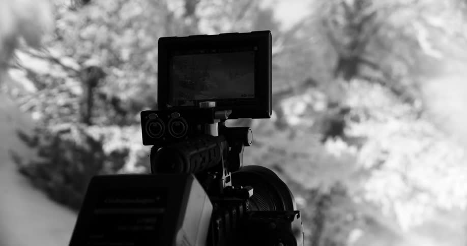 Lcd screen mounted over a camera on a tripod in front of snow covered trees