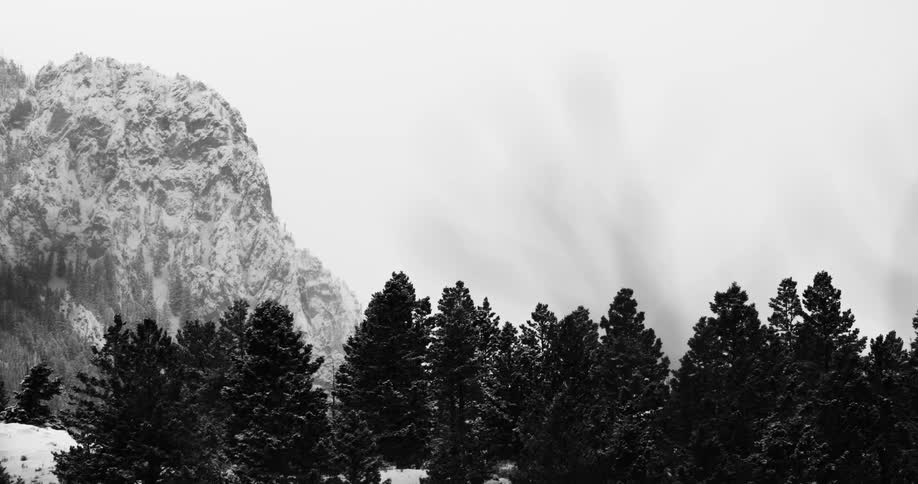 Trees sit on the snow covered land near a snowy hill