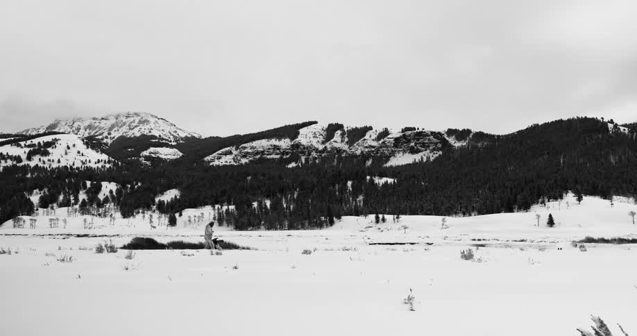 Hiker stands on a snowy field near the mountains