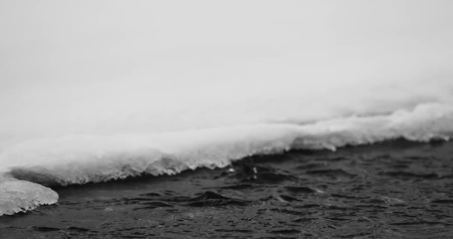 A bird dives into the water