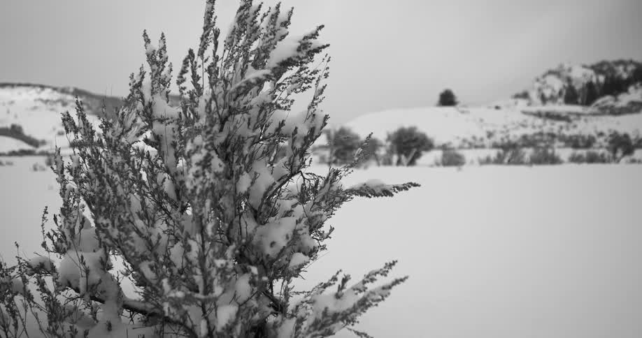 Black and white footage of snow covered landscape