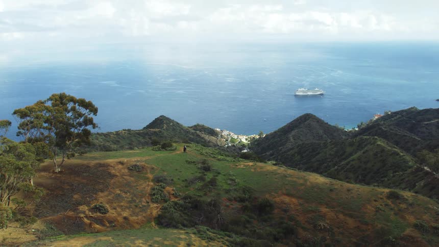 A large ship sails through the water below lush hills
