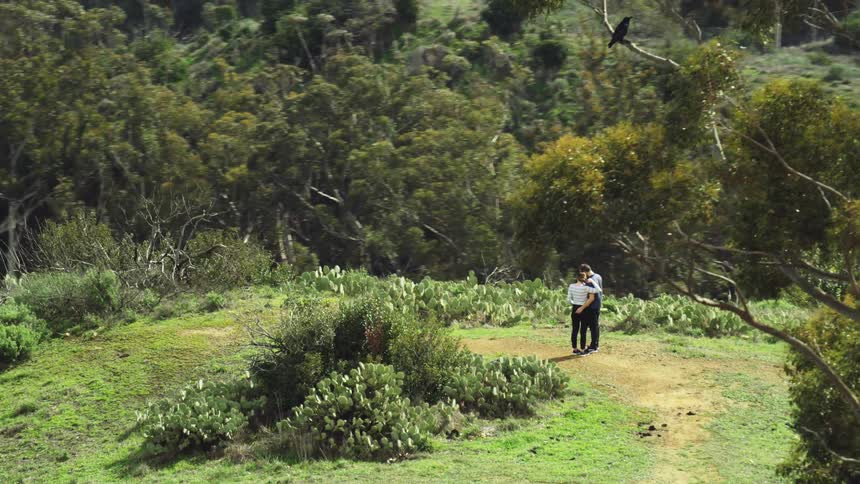 A man and woman embrace on a grassy cliff overlooking a woodland on a sunny day