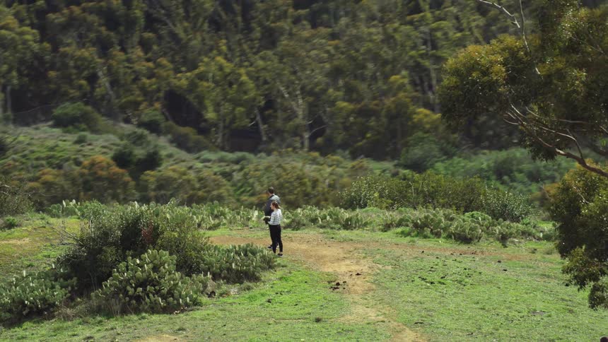 Aerial view of couple standing atop of a hill near the green forest in the mountains