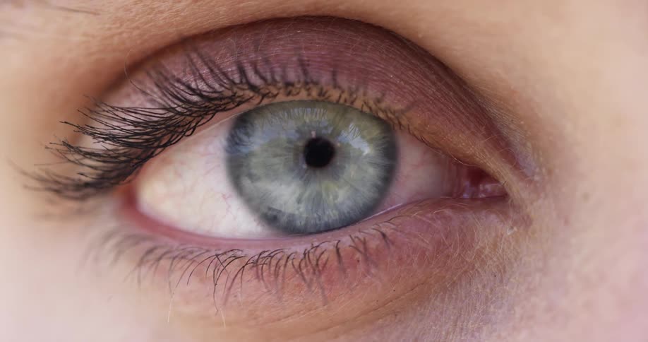 Close up of a blue eye