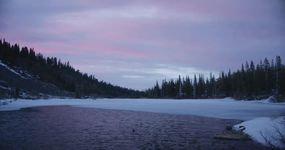 Frozen surface of a lake near a pine forest at sunset