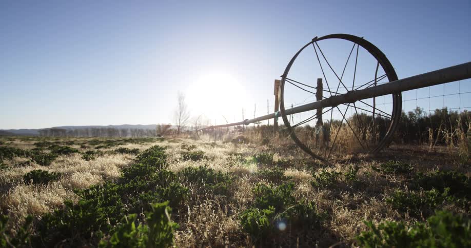 A metal wheel is on the green field