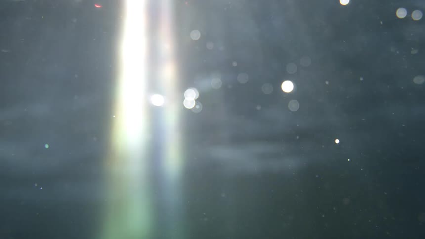 An underwater view with the sun shining