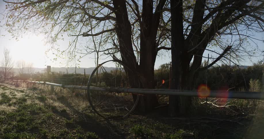 A long rod has a wheel on the farm