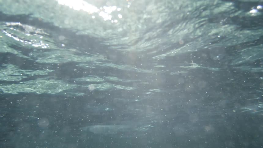 Sun light filters through the surface of a clear body of water