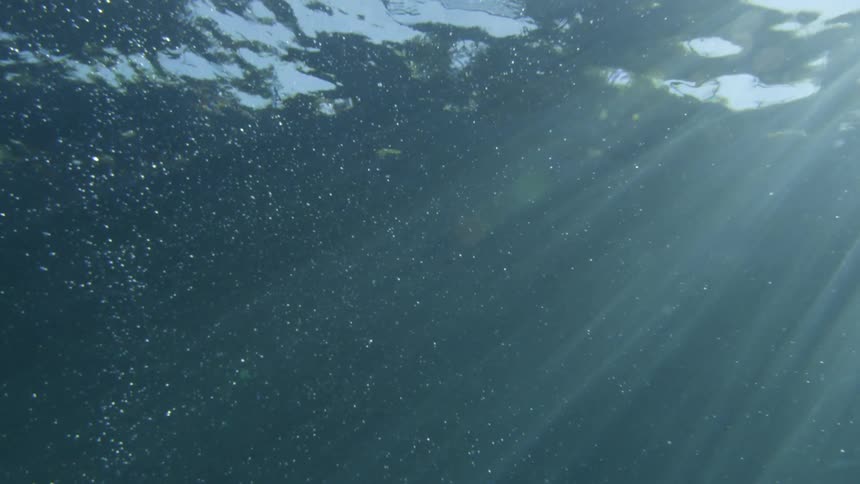 Underwater footage of sunlight filtering through the surface of the sea