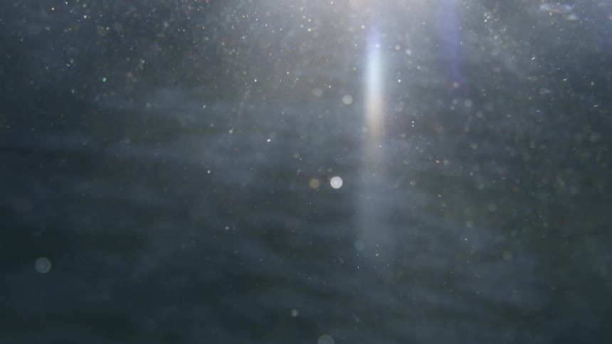 Underwater with bubbles and debris with the sun shining from above