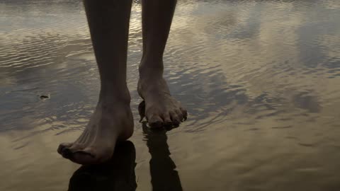 Person walking on a wet beach