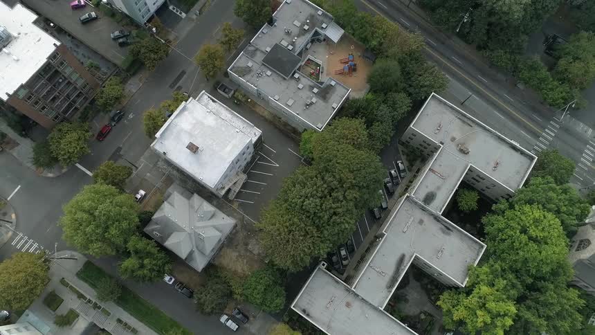 Trees line the streets of an urban area