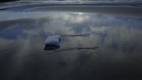 A pillow and twigs laying on the wet sand of a beach on a cloudy day