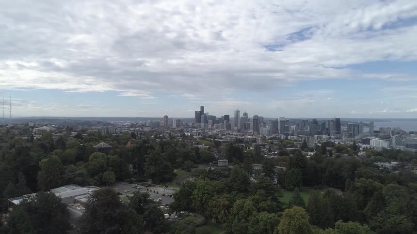 An area with many trees lies in front of an oceanside city