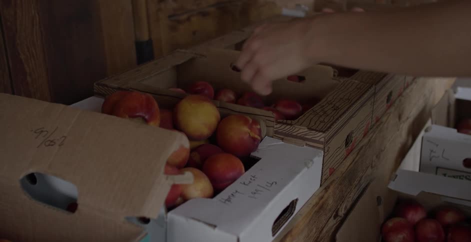 A person picks up a piece of fruit in a market and then sets it back down