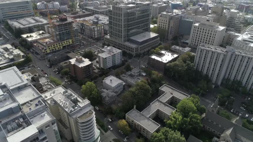 Trees and buildings sit in the city as traffic travels on the city streets