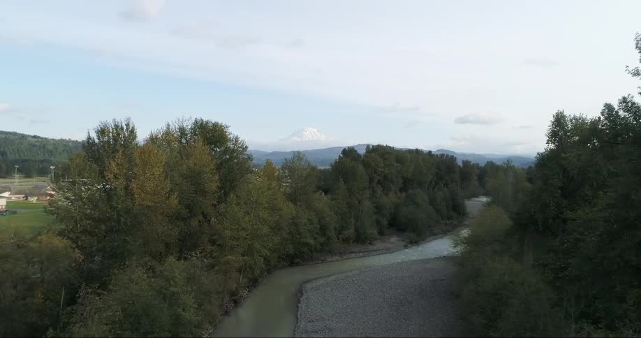 Aerial view of a river bed with trees on both sides