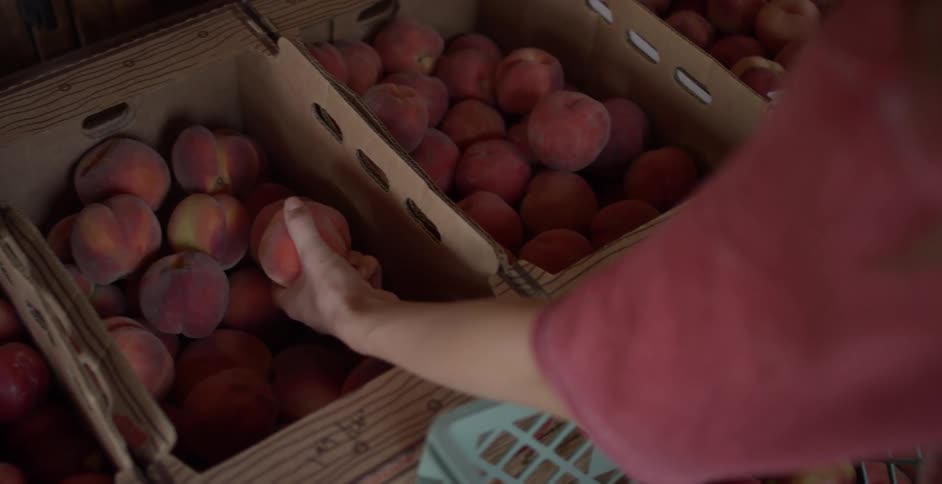 A person picks up a piece of fruit at a market and places it with others in a shopping basket