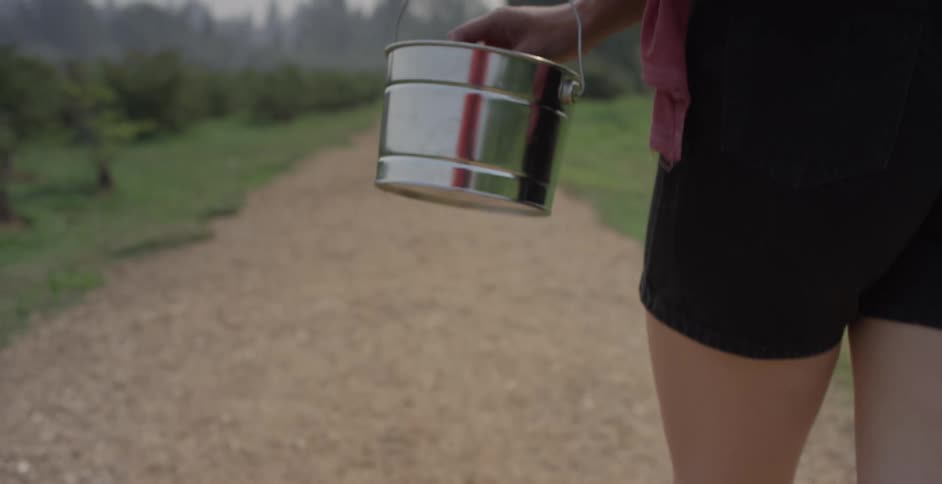 Girl with a metal bucket filled with blueberries walks on a dirt path
