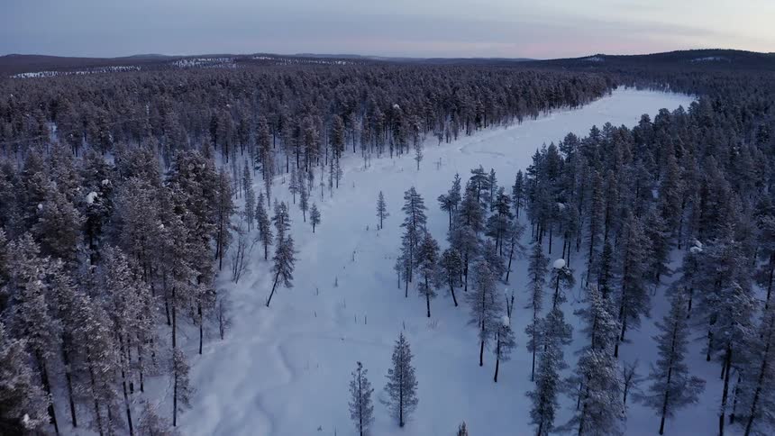 An aerial view flying over a wintery snow covered pine forest