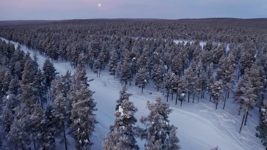 A forest covered in snow with the sky and clouds in the background