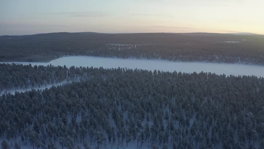 A forest with snow with the sky and clouds in the background