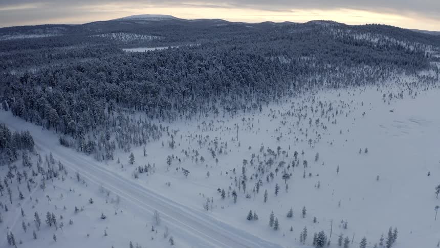 A view of a snow covered forest is displayed