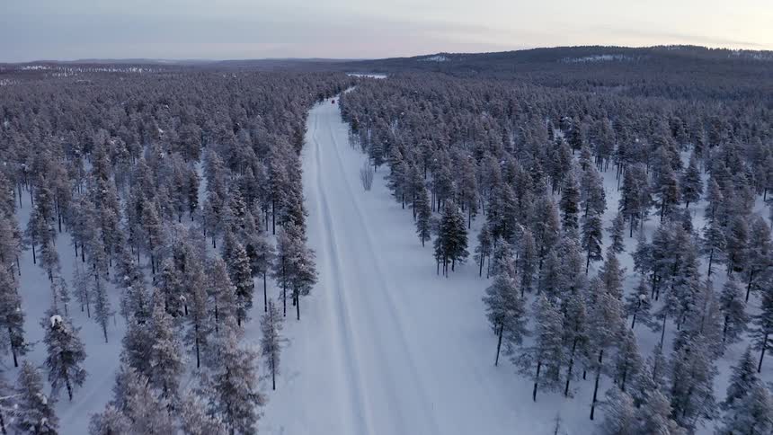 Car sits parked on a snowy road that runs through the forest