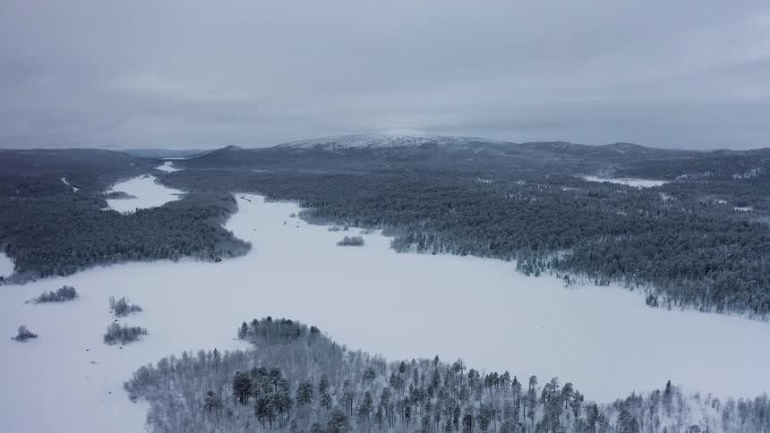 Frozen river surrounded by pine forest near snow covered mountains