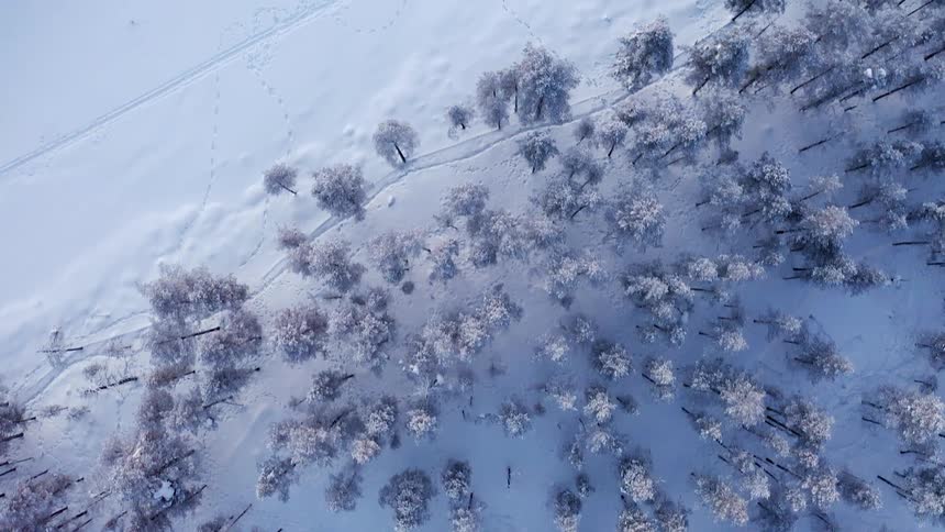 Footprints sully a smooth blanket of snow in a field next to a forest