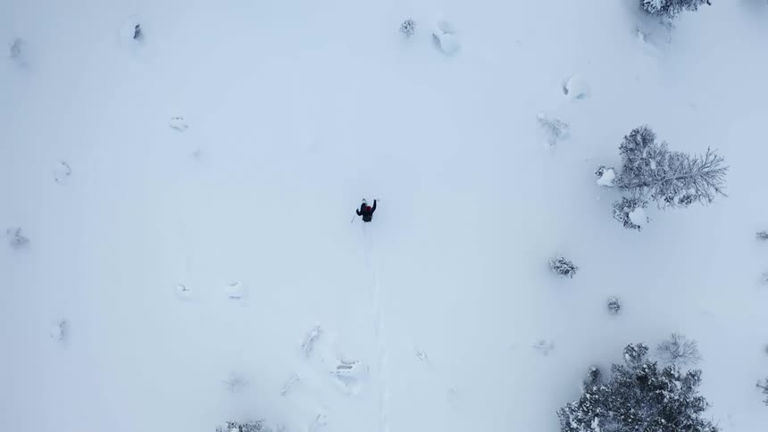 A person is snowshoeing through an arctic area far below