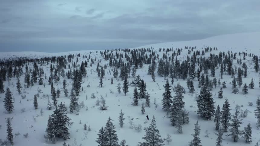Forest of trees surrounded by snow under a cloudy sky