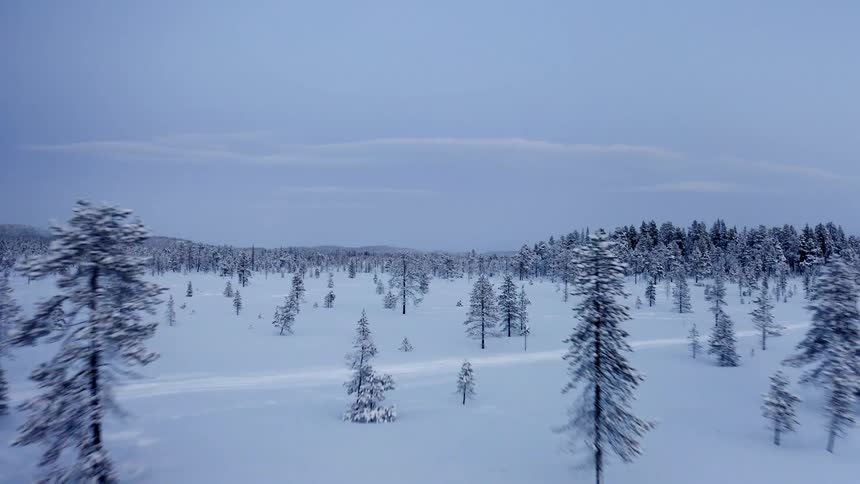 Snow covers an area dotted by trees