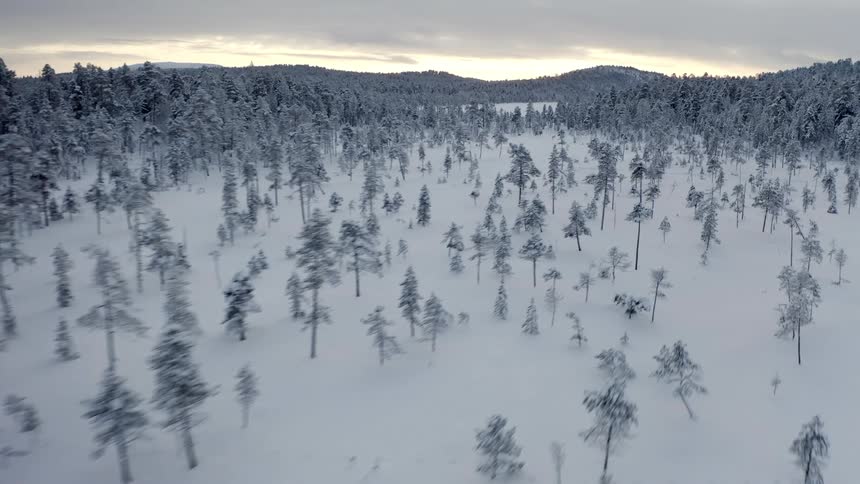 An aerial view flying over a forest covered in snow