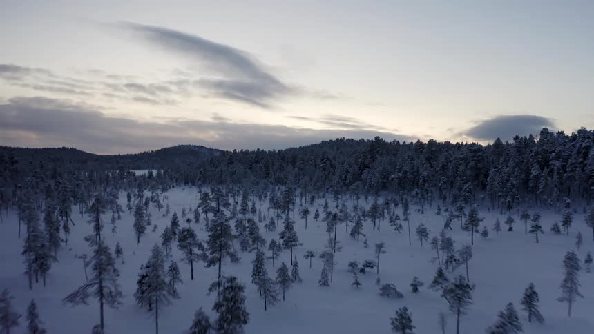 A forest covered in snow with the sky and clouds in the background at dusk