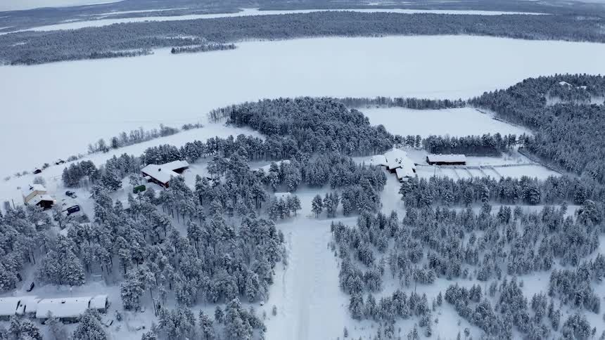 An aerial view of a forest in winter is displayed