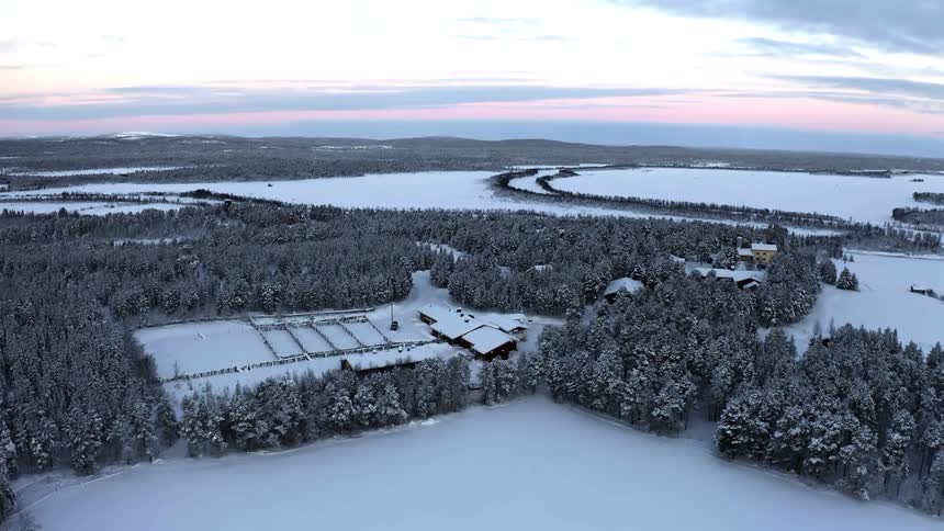 An aerial view of a forest during winter is displayed