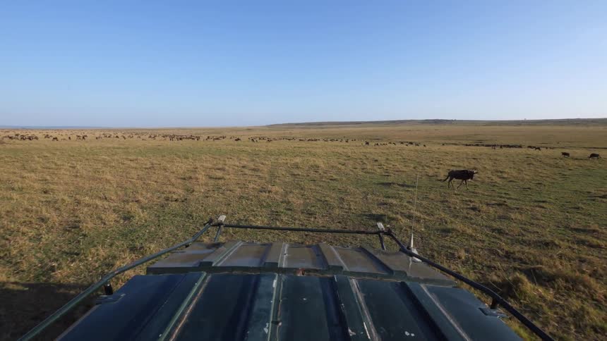 A vehicle is driving over a field with herds of animals in the distance