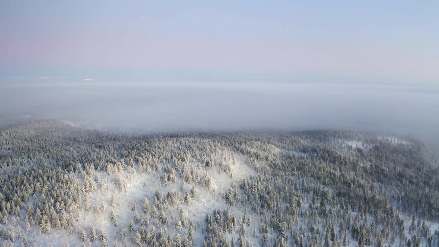 Aerial view of a snow covered forest blanketed in fog