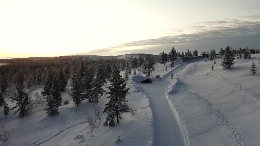 A plowed vehicle path through the snow near an evergreen forest on a mountain